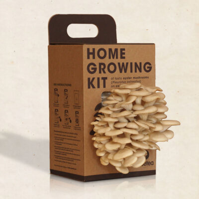 Raremood Resetea Home Growing Kit Fungo